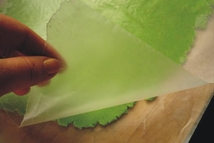 Шаг 3: Для зеленого теста сделать то …