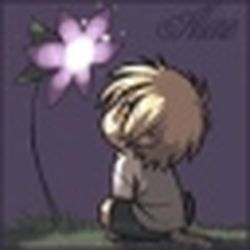 Аватар пользователя Мирный Морж