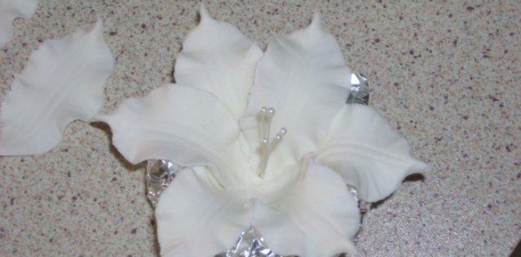 Шаг №7 МК Белые цветы от Annula