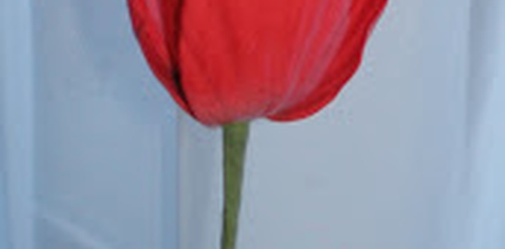 Шаг №13 МК Тюльпан 