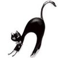 catnata