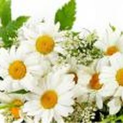 Аватар пользователя Lunauna