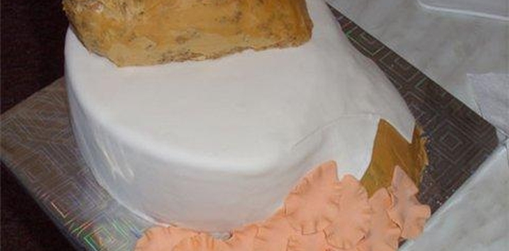 Шаг №14 Жар птица от tanusha84