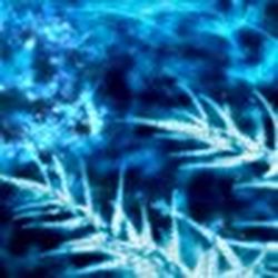 Аватар пользователя olyuska_m