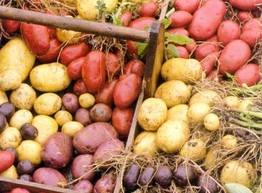 Картофель - продукт диетический!