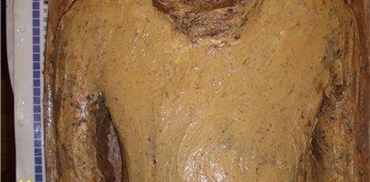 Шаг №2 МК Шрек от OljaN