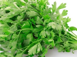 Ещё раз о пользе петрушки