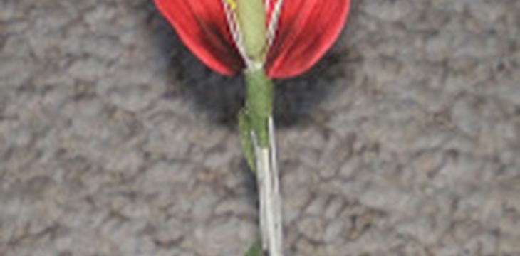 Шаг №12 МК Тюльпан 