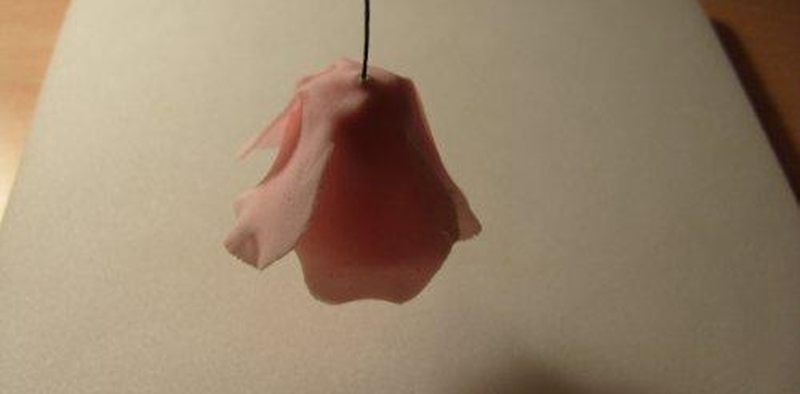 Шаг №21 МК Роза на проволоке от Учредительница