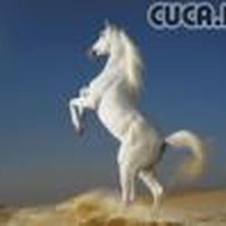 Аватар пользователя Irenochka