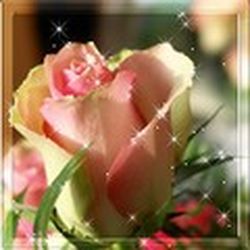 Аватар пользователя Antares