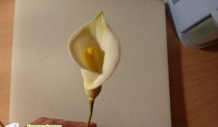 МК Калла от Учредительница