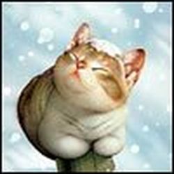 Аватар пользователя fuchika