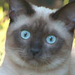 Аватар пользователя laska