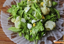 Салат из листьев салата