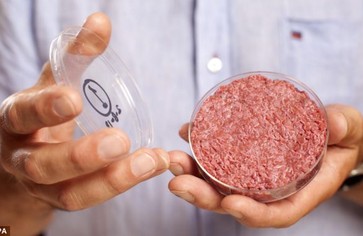 Гамбургер из искусственной говядины