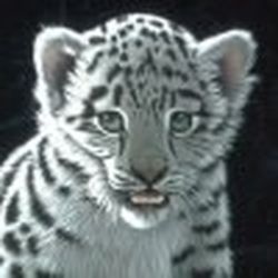 Аватар пользователя Светлаша