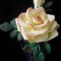 Аватар пользователя толстышата