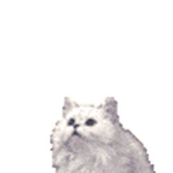 Аватар пользователя Багира-1