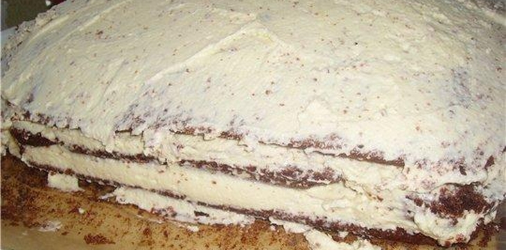 Шаг №8 МК Шрек от OljaN