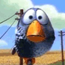 Аватар пользователя Cokoc