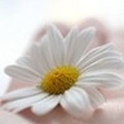 Аватар пользователя Tortilla