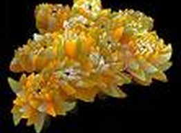 Нас уже 3500 человек ;-)