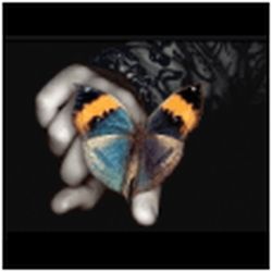 Аватар пользователя LILU