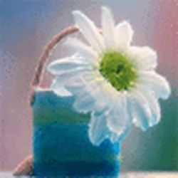 Аватар пользователя ksu90