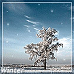 Аватар пользователя molcanov