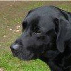 Аватар пользователя Eni