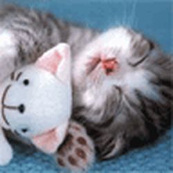 Аватар пользователя Daremass