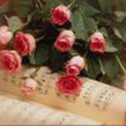 Аватар пользователя OlgaF