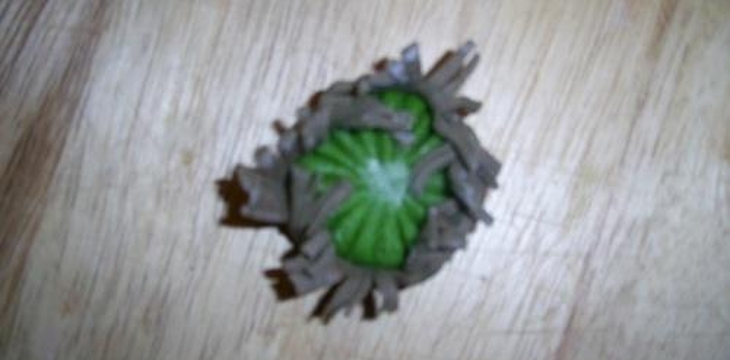 Шаг №7 МК Мак от alizka