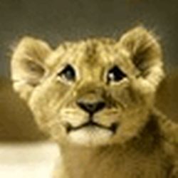 Аватар пользователя pinfaseteg