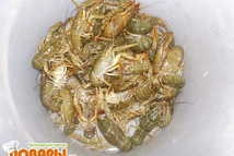 Шаг 3: Когда вода закипит, то можно …