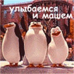 Аватар пользователя topic