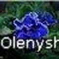olenyshka