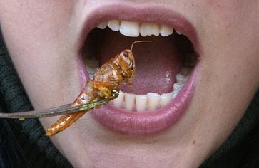 10 самых необычных продуктов мира