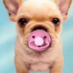 Аватар пользователя shurkevna