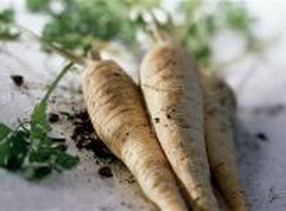 Каждый пятый британец думает, что пастернак растет на деревьях