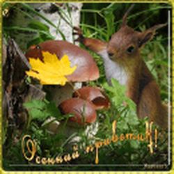 Аватар пользователя Евлочка