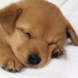 Аватар пользователя Стрелка)