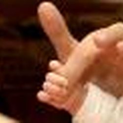 Аватар пользователя Лисенок