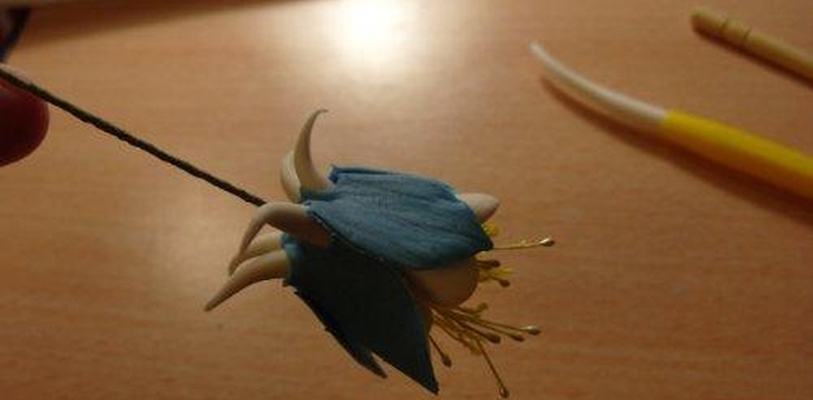 Шаг №25 МК Аквилегия от Учредительница