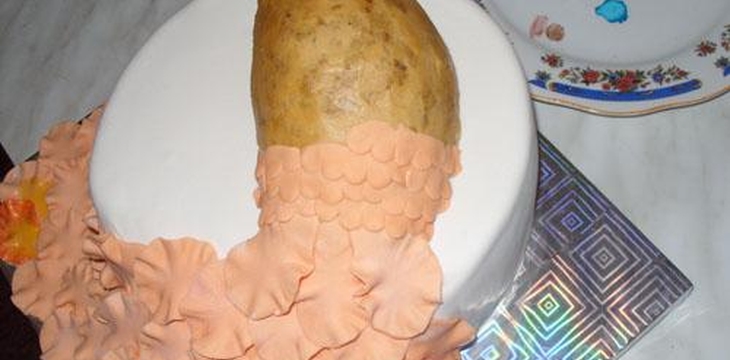 Шаг №17 Жар птица от tanusha84