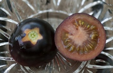 Черные помидоры