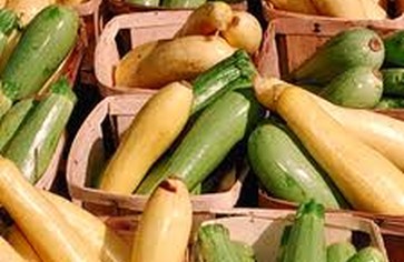 Статья: Кабачок. Готовим вкусно!