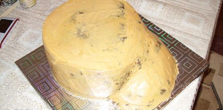 Шаг №6 Жар птица от tanusha84