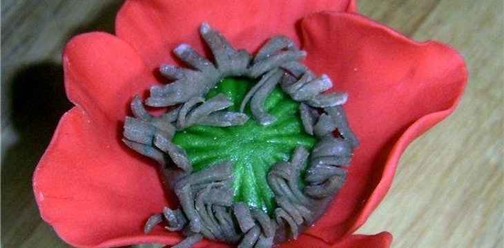 Шаг №8 МК Мак от alizka